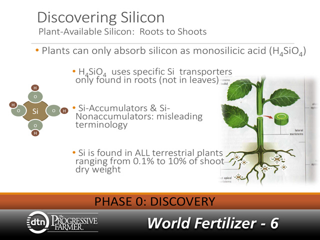 Silicon is abundant in most soils, although plants can only utilize one form of the nutrient. In addition, only specific silicon transporters found in the roots of plants can move the nutrient. (Graphic courtesy of Tania Raugewitz, Harsco Metals and Minerals)